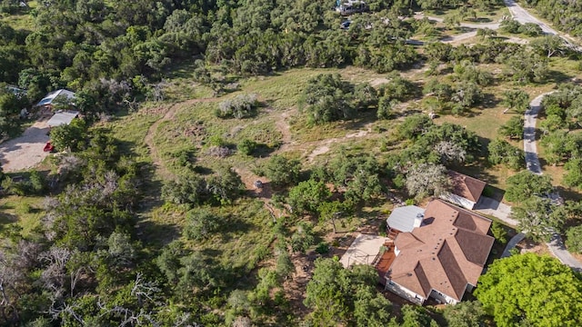 250 Brunson Ln, Wimberley, TX 78676 - photo 39