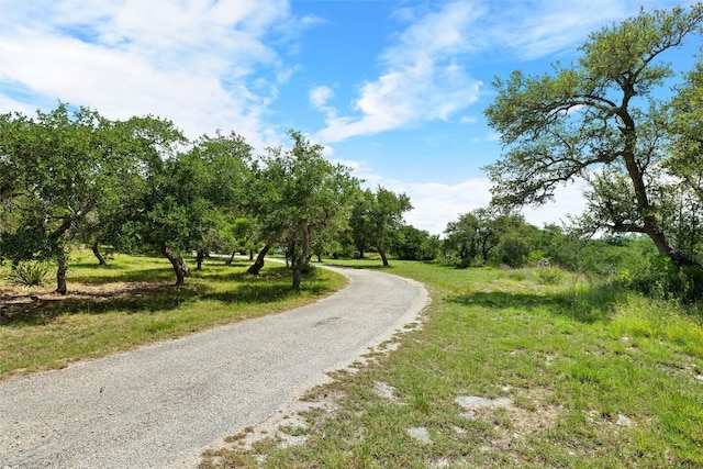 250 Brunson Ln, Wimberley, TX 78676 - photo 2