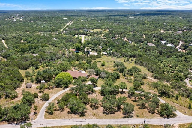 250 Brunson Ln, Wimberley, TX 78676 - photo 38