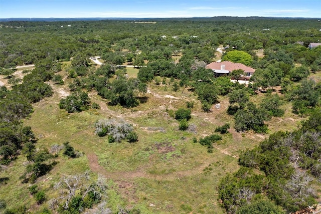 250 Brunson Ln, Wimberley, TX 78676 - photo 37