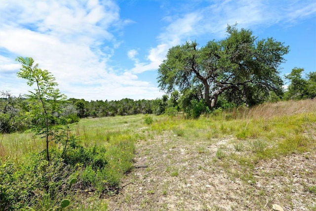 250 Brunson Ln, Wimberley, TX 78676 - photo 36