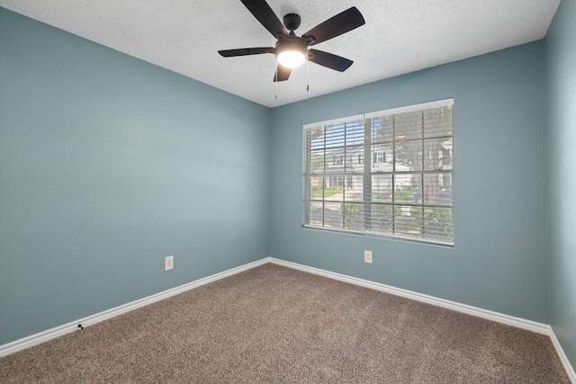 3619 Cheyenne St, Round Rock, TX 78665 - photo 19