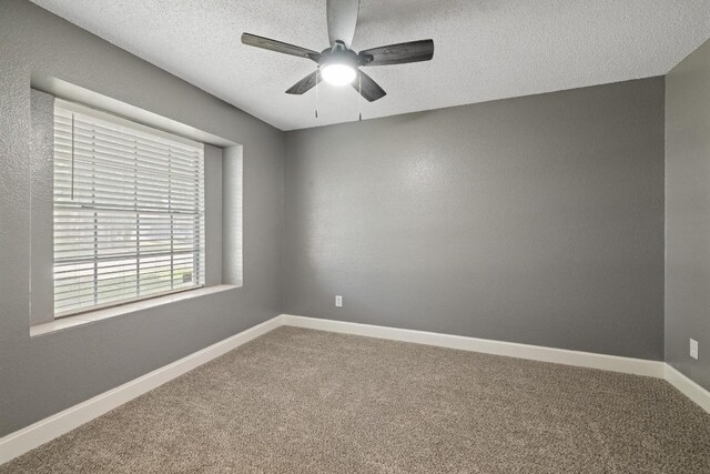 3619 Cheyenne St, Round Rock, TX 78665 - photo 20