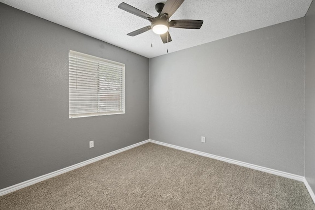 3619 Cheyenne St, Round Rock, TX 78665 - photo 21