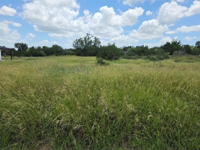 241 Spicewood Trails Dr, Spicewood, TX 78669 - photo 5