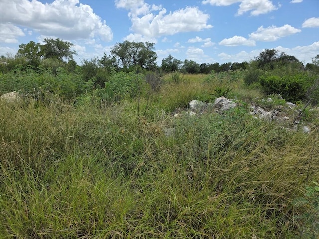 LOT206 Enchanted Oak Pt, Spicewood, TX 78669 - photo 3