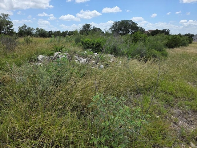 LOT206 Enchanted Oak Pt, Spicewood, TX 78669 - photo 4