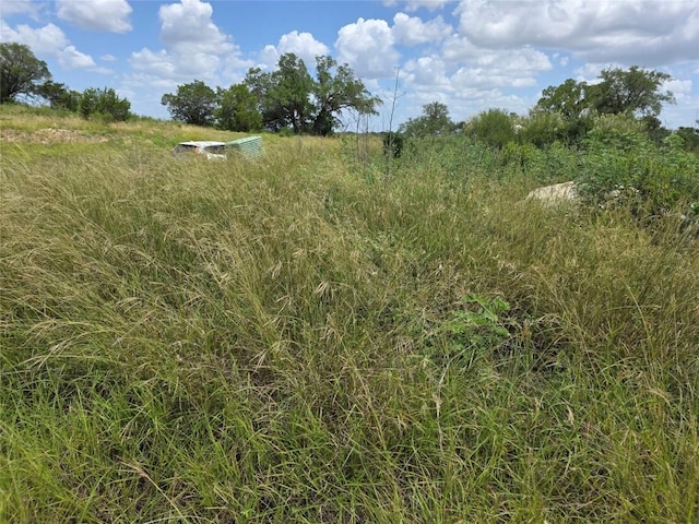 LOT206 Enchanted Oak Pt, Spicewood, TX 78669 - photo 5