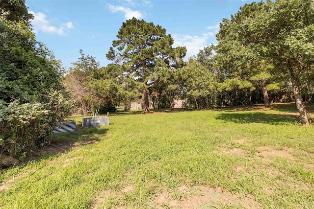 208 Old Potato Rd, Paige, TX 78659 - view of grassy yard