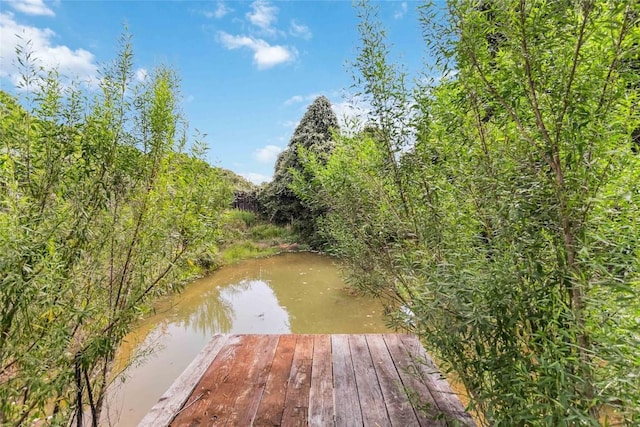 208 Old Potato Rd, Paige, TX 78659 - view of dock