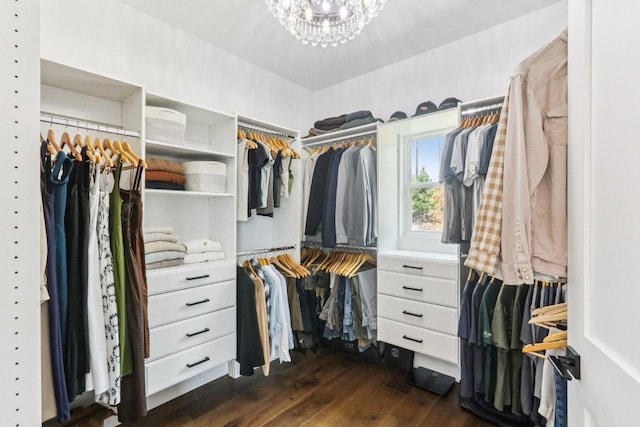 169 Tall Forest Dr, Bastrop, TX 78602 - walk in closet with dark wood-style flooring and a chandelier