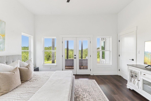 169 Tall Forest Dr, Bastrop, TX 78602 - bedroom featuring access to outside, dark wood-type flooring, multiple windows, and french doors