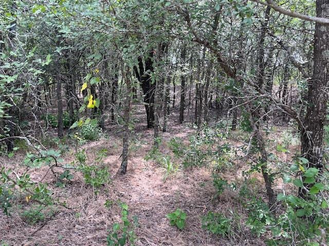 103 Mann Ln, Cedar Creek, TX 78612 - photo 2