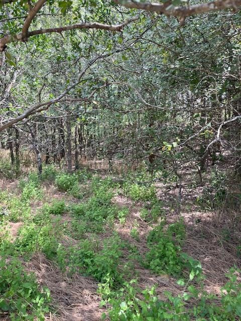 103 Mann Ln, Cedar Creek, TX 78612 - photo 3