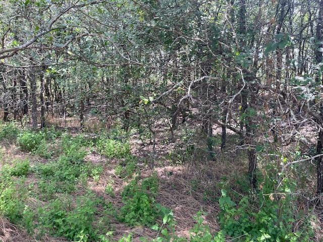 103 Mann Ln, Cedar Creek, TX 78612 - photo 4