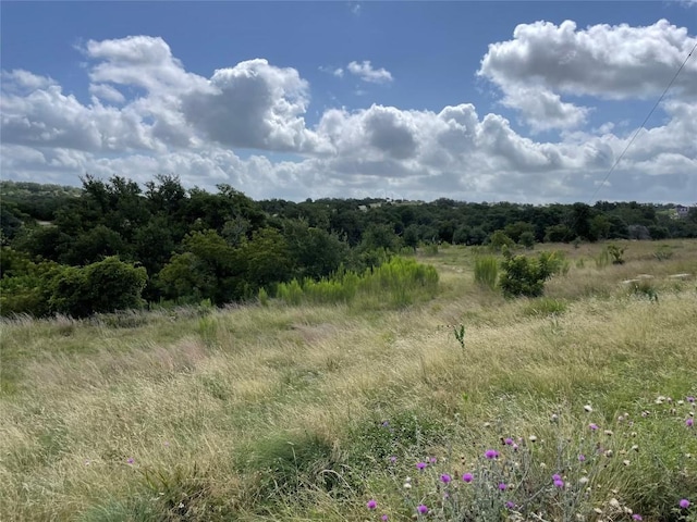 0 Purple Sage Trl, Blanco, TX 78606