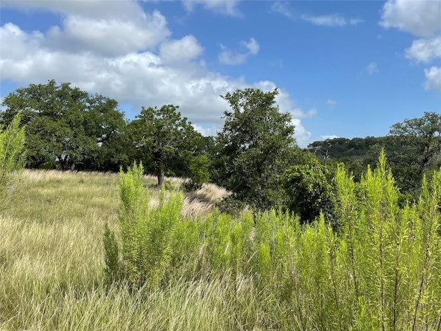 0 Purple Sage Trl, Blanco, TX 78606
