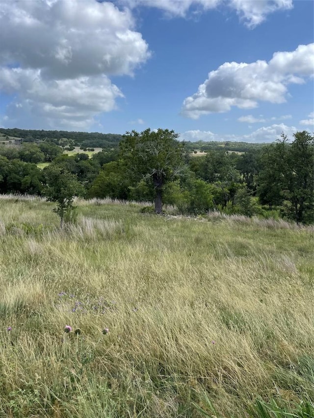 0 Purple Sage Trl, Blanco, TX 78606