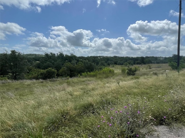 0 Purple Sage Trl, Blanco, TX 78606