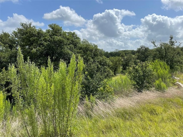 0 Purple Sage Trl, Blanco, TX 78606