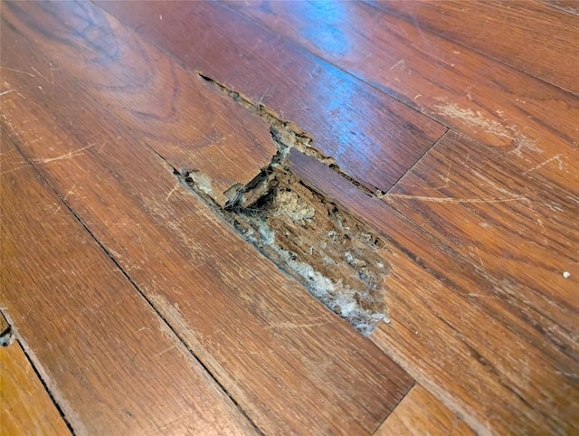 606 Scurry St, Austin, TX 78753 - detailed view of wood finished floors