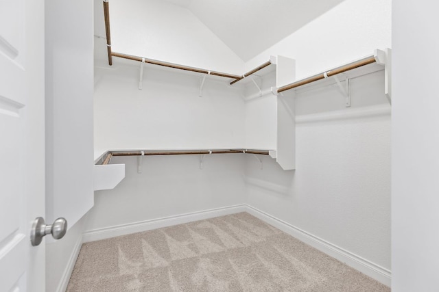 3604 Mercer Rd, Georgetown, TX 78628 - walk in closet with carpet flooring and vaulted ceiling