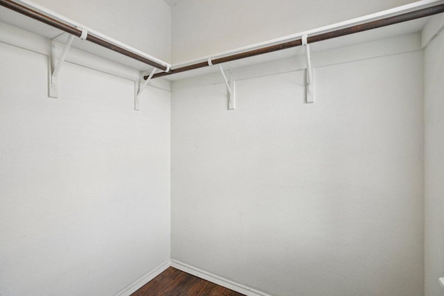 13413 Lismore Ln, Pflugerville, TX 78660 - walk in closet with dark wood-style floors