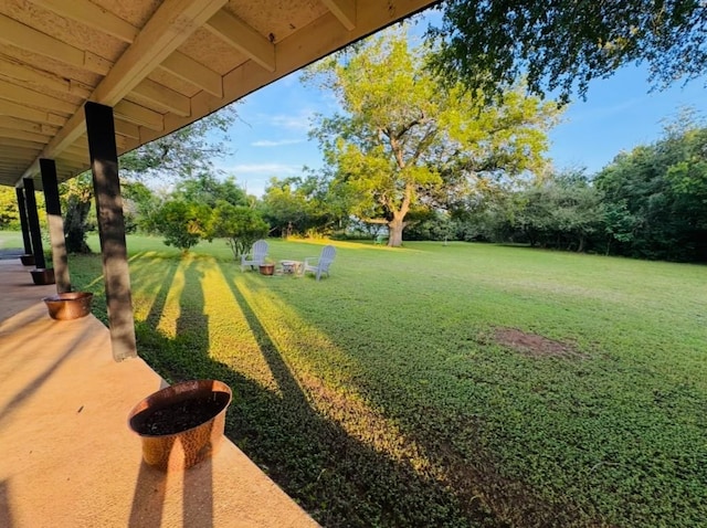 702 Pleasant Grove Rd, Elgin, TX 78621 - view of grassy yard