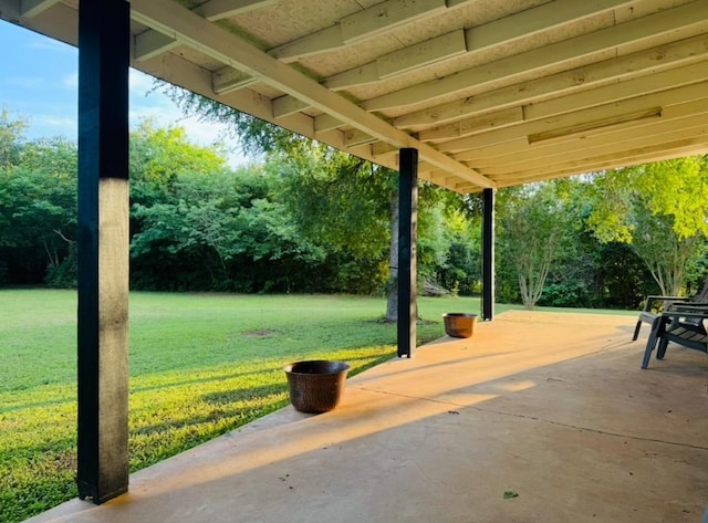 702 Pleasant Grove Rd, Elgin, TX 78621 - view of patio with view of scattered trees