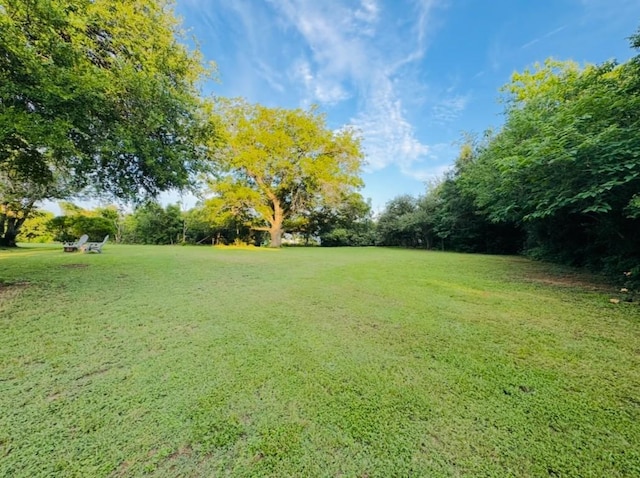 702 Pleasant Grove Rd, Elgin, TX 78621 - view of green lawn