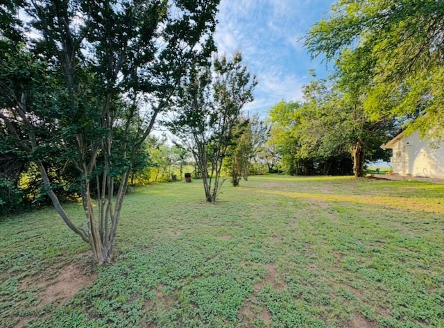 702 Pleasant Grove Rd, Elgin, TX 78621 - view of grassy yard