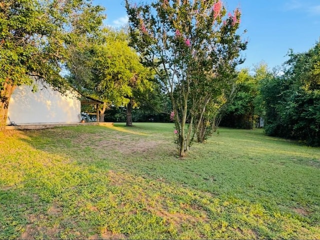 702 Pleasant Grove Rd, Elgin, TX 78621 - view of green lawn
