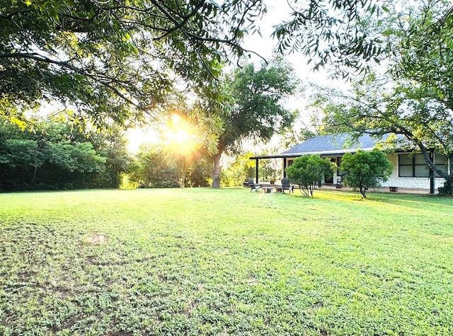 702 Pleasant Grove Rd, Elgin, TX 78621 - view of green lawn