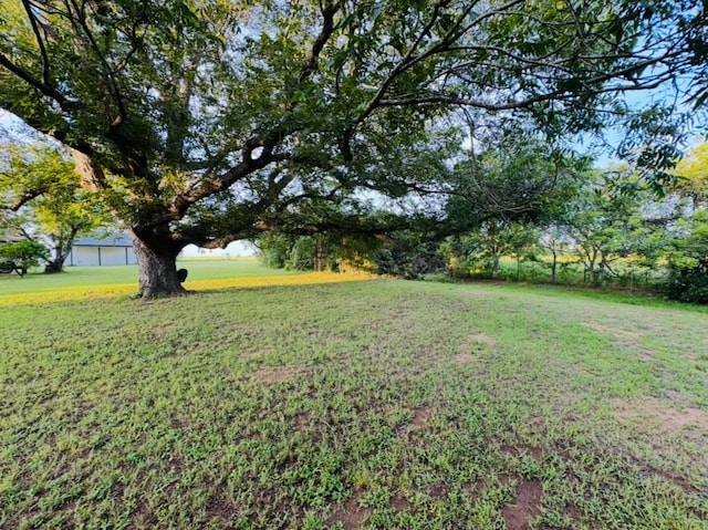 702 Pleasant Grove Rd, Elgin, TX 78621 - view of green lawn