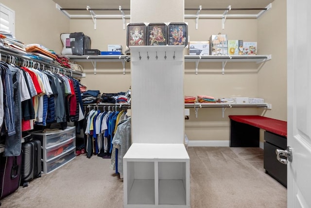 14405 Laurinburg Dr, Austin, TX 78717 - spacious closet with carpet
