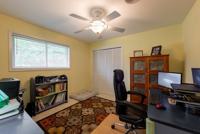 507 Flamingo Cir, Marble Falls, TX 78654 - office space featuring ceiling fan