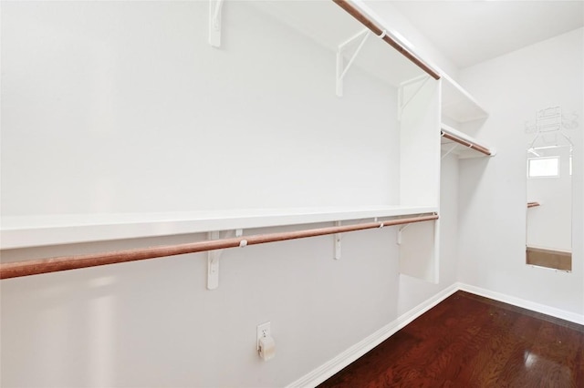 1115 Kinney Ave Unit 6, Austin, TX 78704 - walk in closet with dark wood-style flooring