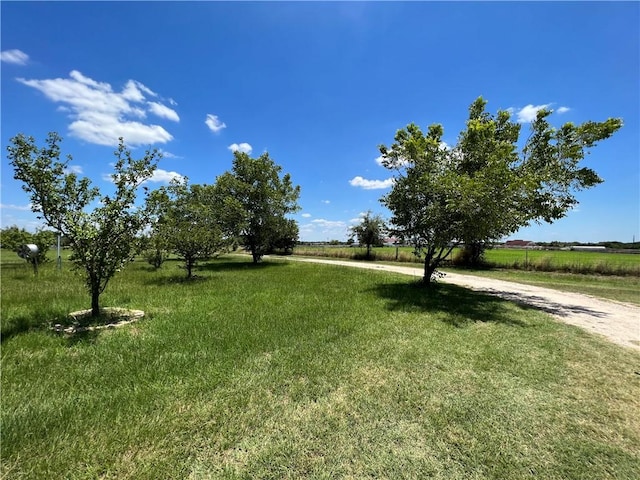 2120 Fm 1704, Elgin, TX 78621 - view of grassy yard with a view of rural / pastoral area