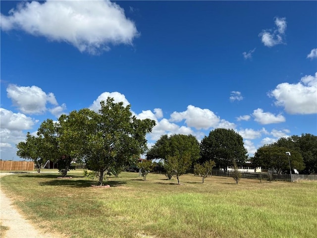 2120 Fm 1704, Elgin, TX 78621 - view of yard