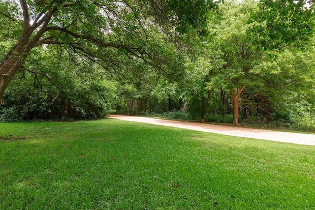 15213 Mallard Green Ln, Austin, TX 78728 - view of grassy yard featuring a wooded view