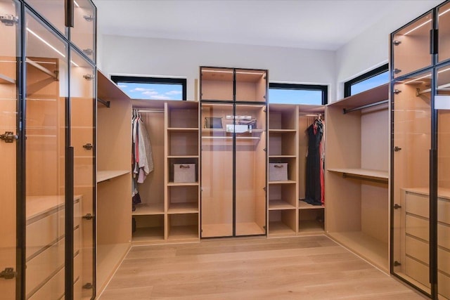1806 Lauren Dr, Spicewood, TX 78669 - walk in closet with light wood finished floors