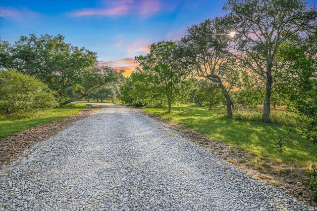 250 Hidden Oaks Rd, Wimberley, TX 78676 - photo 34
