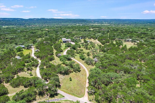 250 Hidden Oaks Rd, Wimberley, TX 78676 - photo 35