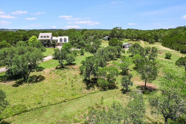 250 Hidden Oaks Rd, Wimberley, TX 78676 - photo 37