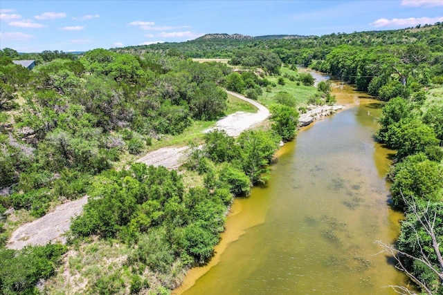 250 Hidden Oaks Rd, Wimberley, TX 78676 - photo 39
