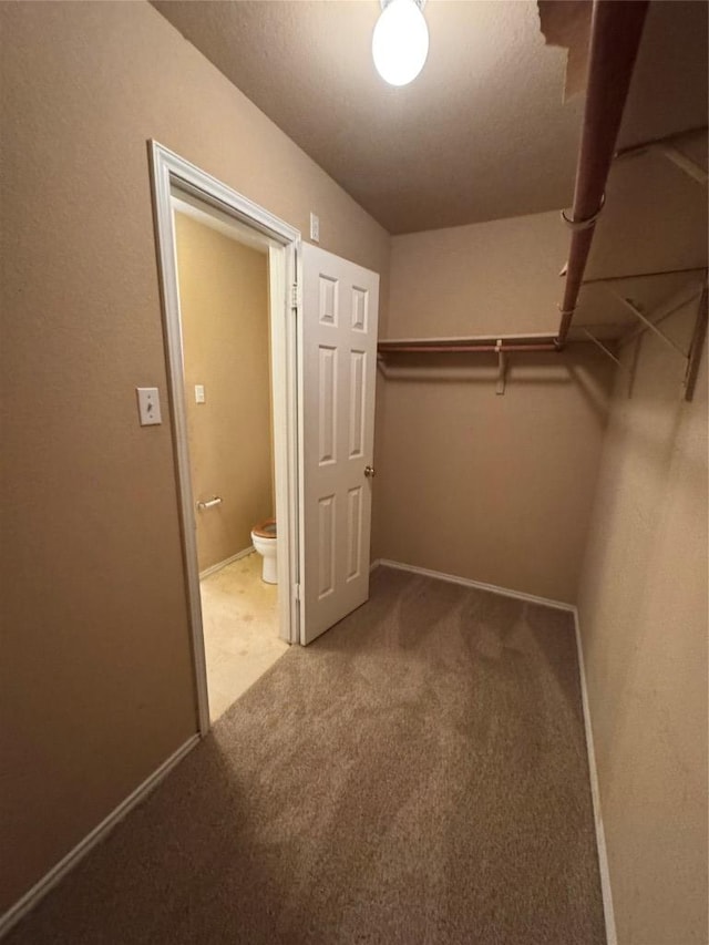 209 Lake Washington Dr, Kyle, TX 78640 - walk in closet with carpet floors