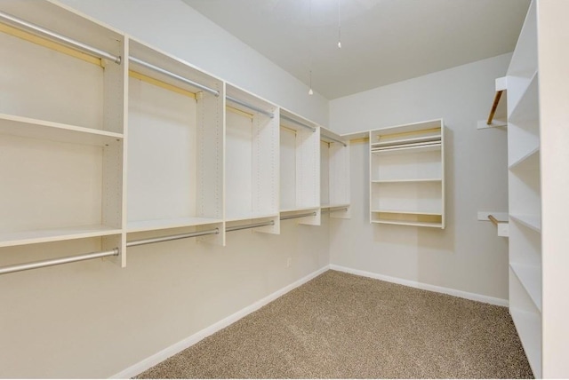 12012 Bryony Dr, Austin, TX 78739 - photo 27