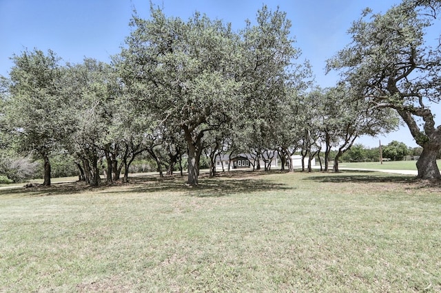 2455 Double File Trce, Liberty Hill, TX 78642 - photo 32