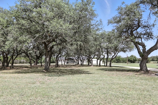 2455 Double File Trce, Liberty Hill, TX 78642 - photo 33