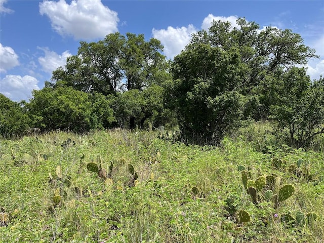 1105 Ute Rd, Horseshoe Bay, TX 78657